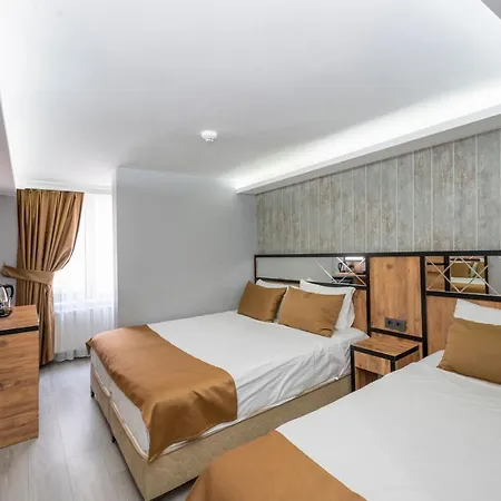 Hotel Dedem 3*