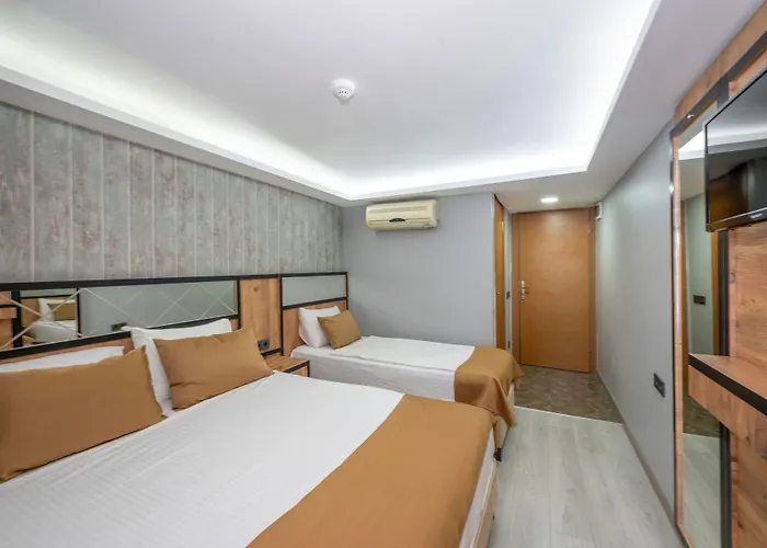 Dedem Istanbulská provincie